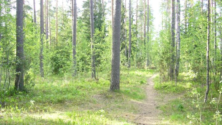 Ympäristö Green Lappeenranta Lappeenranta osallistui ensimmäisenä kuntana Suomessa WWF:n Earth Hour City Challenge -kilpailuun. Lappeenranta sijoittui 14 parhaan joukkoon.