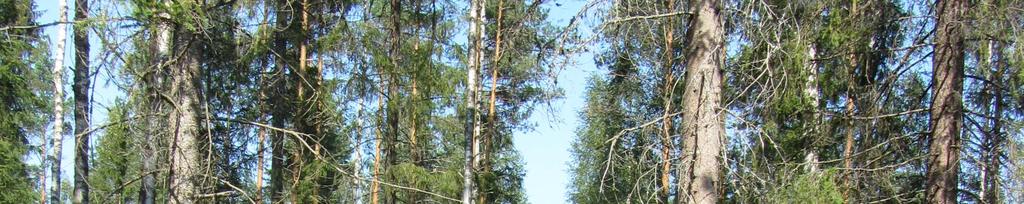 luontotyyppejä eikä metsä- tai vesilain mukaisia kohteita.