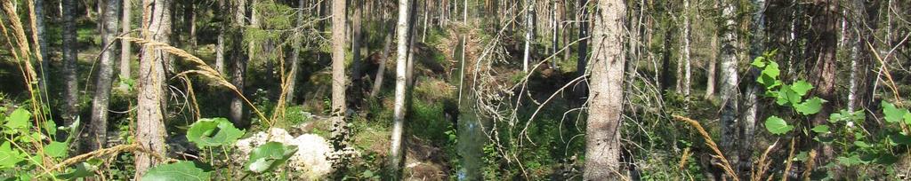 metsäaluetta ja Katiskoskentiehen rajoittuvilta osin ojitettua suota (Kuva 6).