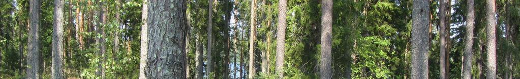 järveen päin loivemmin (Kuva 4).