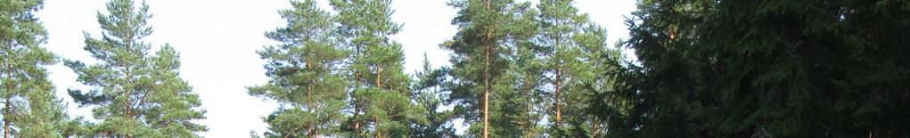 Kuvat 7 ja 8. Kivitaskun (RN:o 6:26) tilan omakotitalo ja autotalli. Palvelut ja työpaikat Suunnittelualueella ei ole palveluita tai työpaikkoja. Alueella harjoitetaan metsätaloutta.