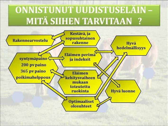 43 (74) KUVA 28. Oppaan sivu 4. Mistä koostuu onnistunut uudistuseläin?