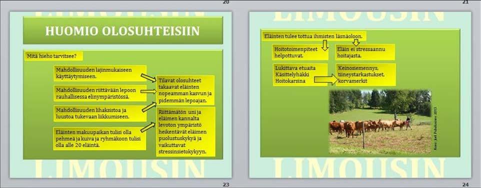 47 (74) Eläinten hyvät ja lajinmukaiset elinolosuhteet vaikuttavat kasvuun ja kehitykseen, jonka vuoksi oppaaseen tuotiin myös olosuhteiden merkitys eläimen kasvussa.