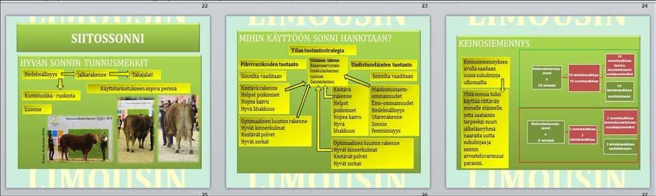 48 (74) KUVA 36. Siitossonni ja keinosiemennys. (Hööpakka 2016) Oppaan viimeisillä sivuilla on tilaesimerkkejä tuotantostrategian kannalta.