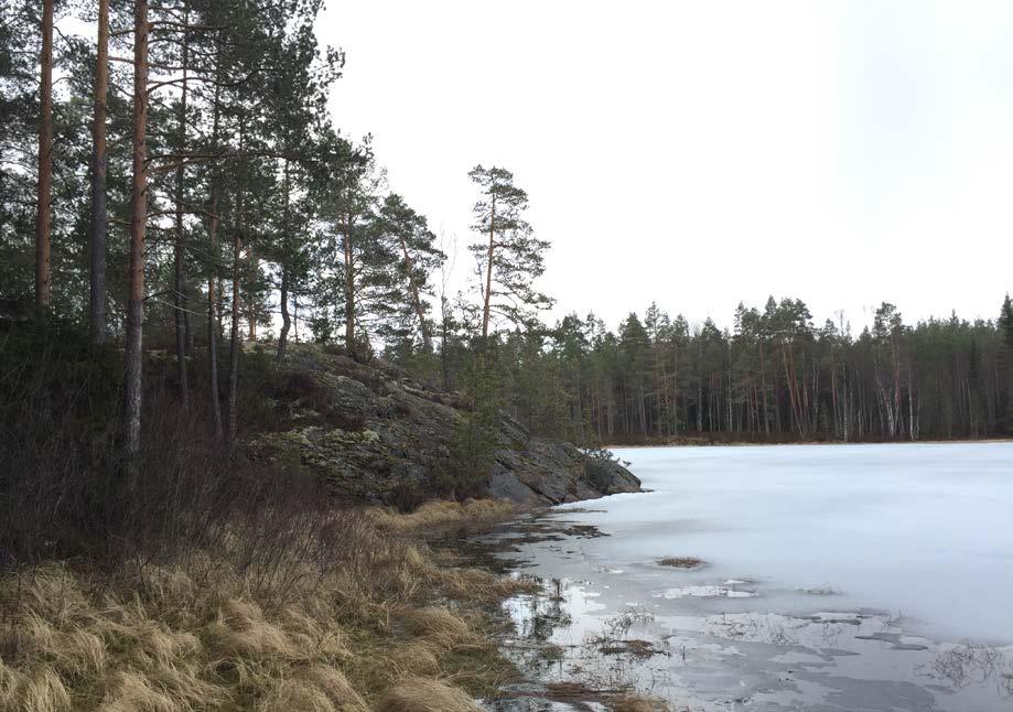 luontokartoittajan kanssa hyväksi