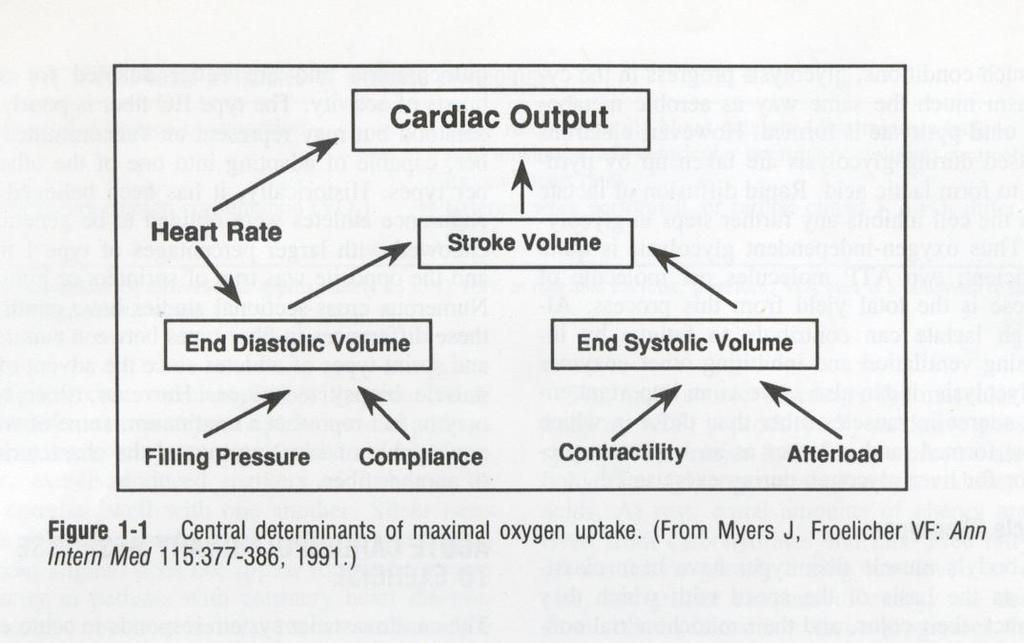 VO2 = SV x HR x C