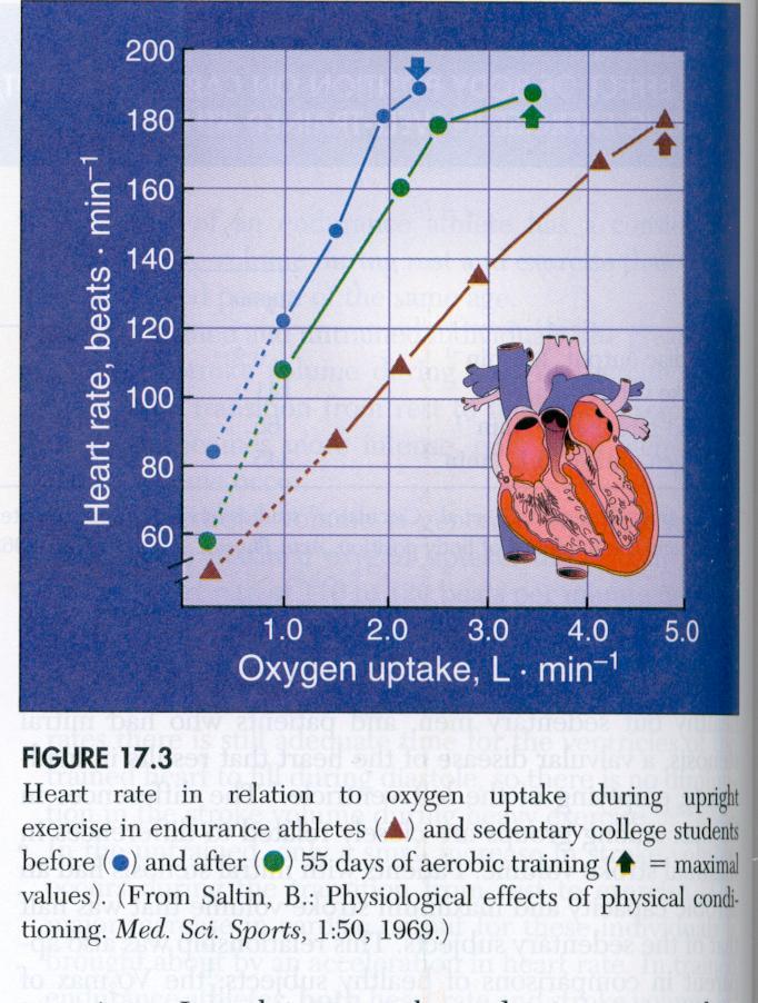 on stroke volume 