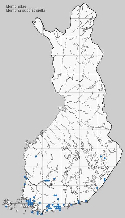 Toukka punertavankeltainen, jaokkeiden välit vaaleammat; pää vaalean kellanruskea.