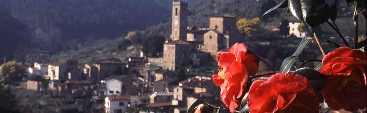 Monte Pisano Italy 4 overnight stays / breakfast included in a 3 star hotel in Pisa 1 dinner, beverage included in restaurant in Pisa 3 sessions Bones for Life Activity 2 lunches, beverage included 1
