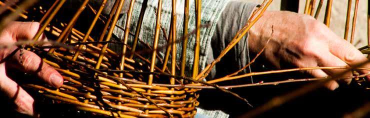 Monte Pisano Italy 4 overnight stays / breakfast included in a 3 star hotel in Pisa 3 sessions of 4 hours each / weaving basket workshop 1 dinner, beverage included, in Pisa 1 lunch at the workshop