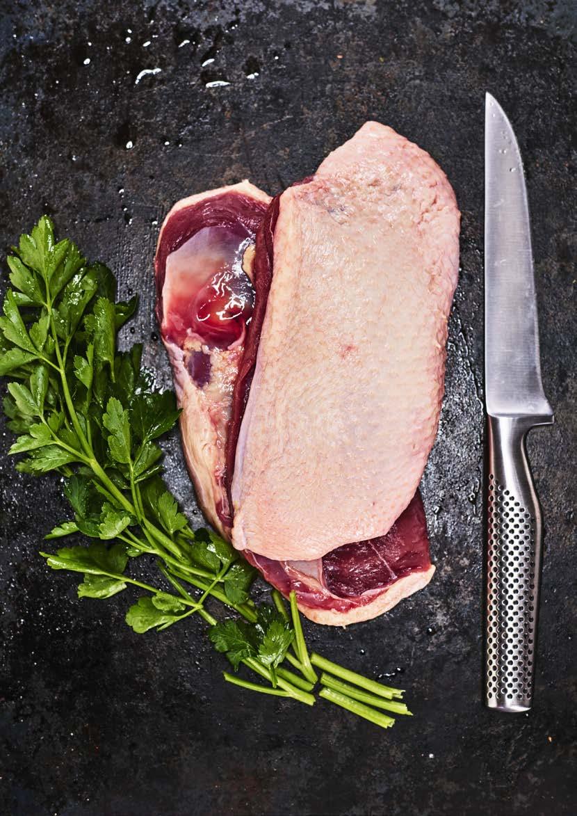 SIIPIKARJAA RANSKASTA LIHA, SIIPIKARJA JA RIISTA Tradifood Tradifood on erikoistunut laadukkaan ranskalaisen siipikarjan lihan maahantuontiin.
