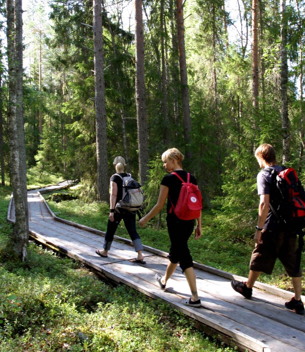 Metsien terveys- ja hyvinvointivaikutukset ovat nosteessa 38 000 km metsäteitä.