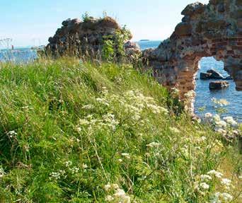 Rajaseudulla voi törmätä vanhoihin linnoitusrakenteisiin yllättävissäkin paikoissa. Seutu ja sen edusta toimi näyttämönä Ruotsinsalmen meritaisteluille.