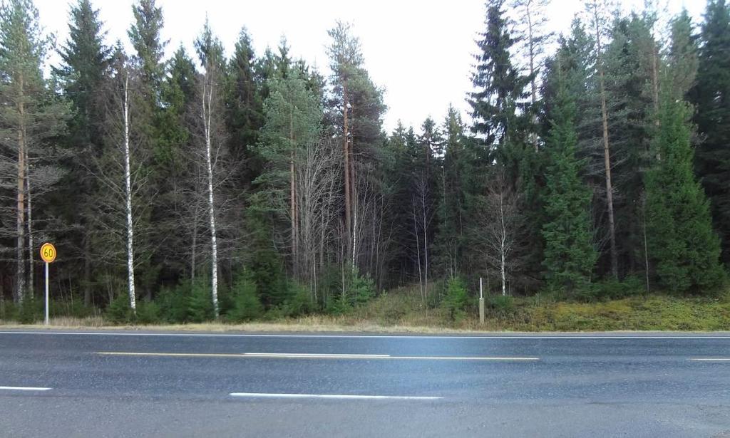 Alue on nykyisellään metsää. Puhoksentien vastakkaisella puolella on pienteollisuutta.