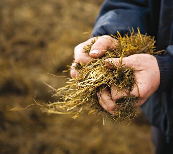 152 SÄILÖNTÄAINEET SÄILÖNTÄAINEET 153 Säilöntäaineet Säilöntäaineet biologiseen säilöntään Feedtech F600 Yhdistelmätuote, joka sisältää sekä homo- että heterofermentatiivisia bakteereita.