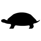Symbolin  Varo tulta Rikastimen