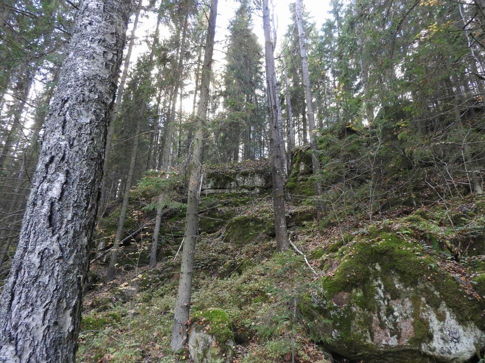 Kuva 1. Enäjärven Kotovuoren jyrkänteiden alla on liito-oravalle sopivaa metsää. 27.9.2016 Petri Parkko 3. Suunnitteluvälin luonnon yleiskuvaus Suunnittelualue alkaa Enäjärven kylältä järven kohdalta.