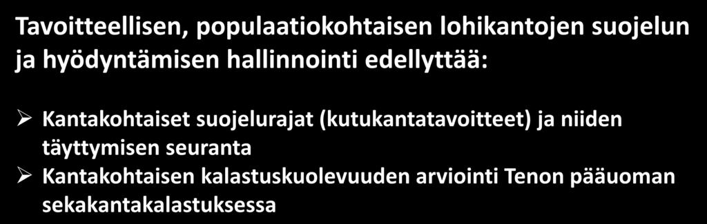 Photo: Panu Orell Seuranta Kanta-arviointi Lohikantojen hoito, kalastuksen säätely