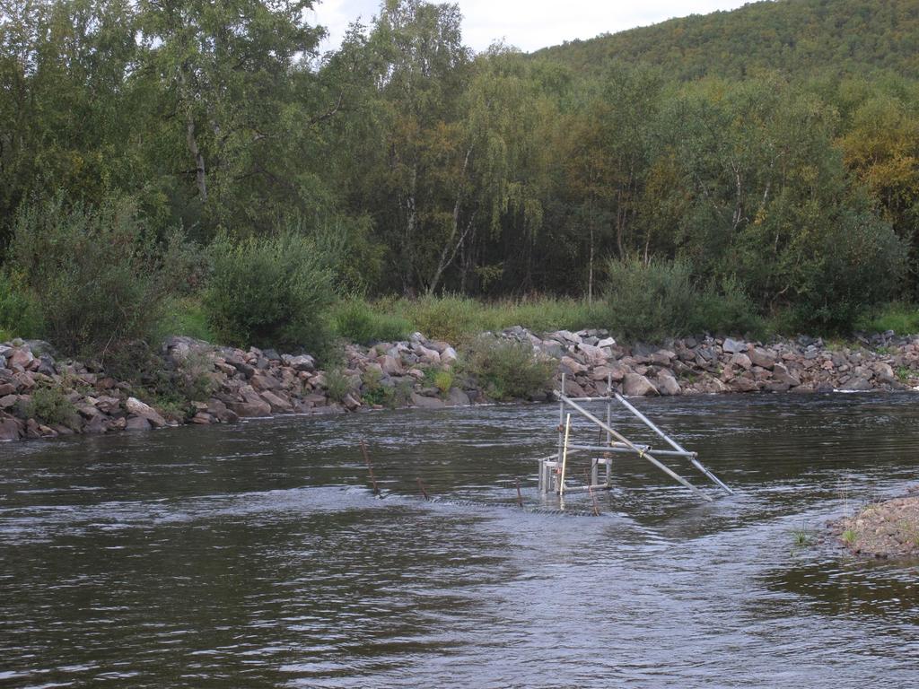 Lohikantojen seurannan kehittäminen Kaikuluotain Tenon pääuomaan?