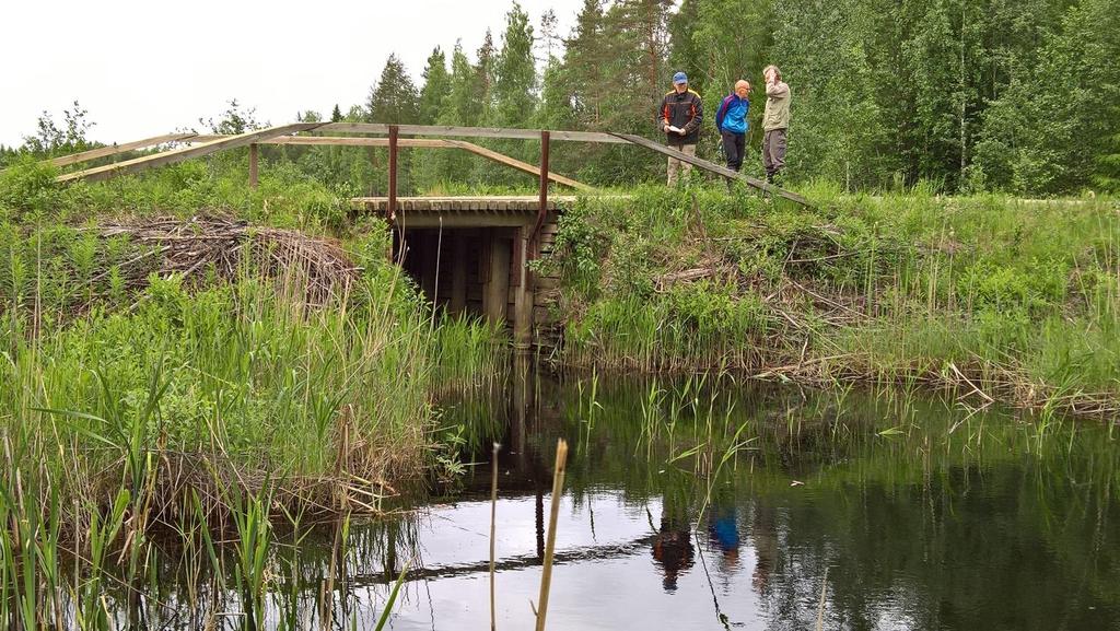 Maaseutu- ja tielautakunta 25.8.