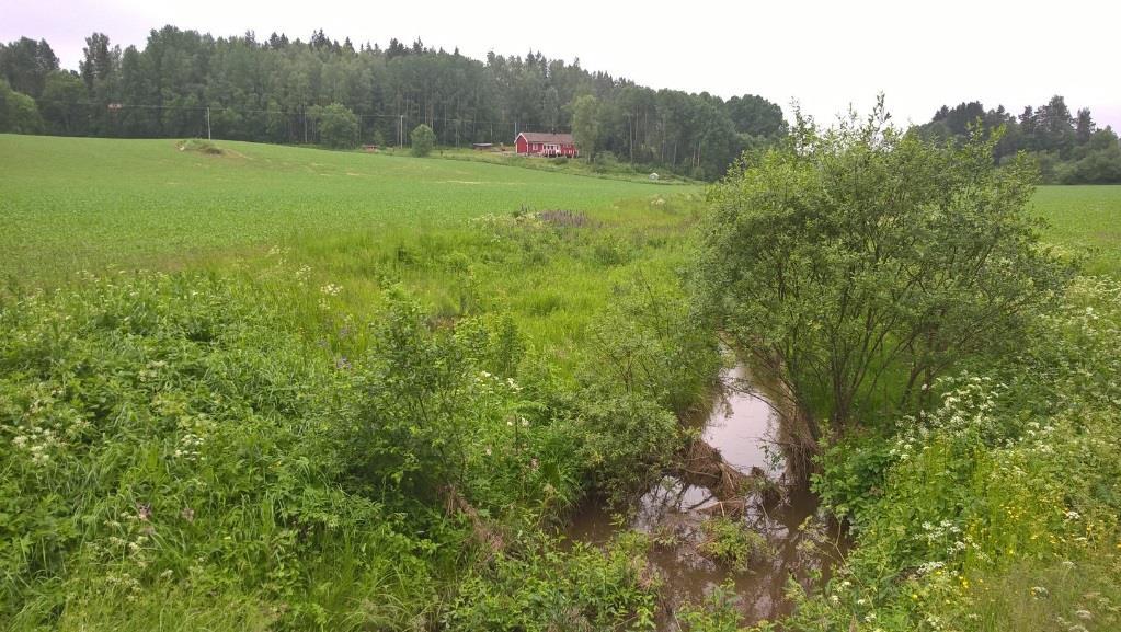 poisto, kasvillisuuden niitto) huolehtimalla voidaan uoma pitää kunnossa. Tällöin esim.