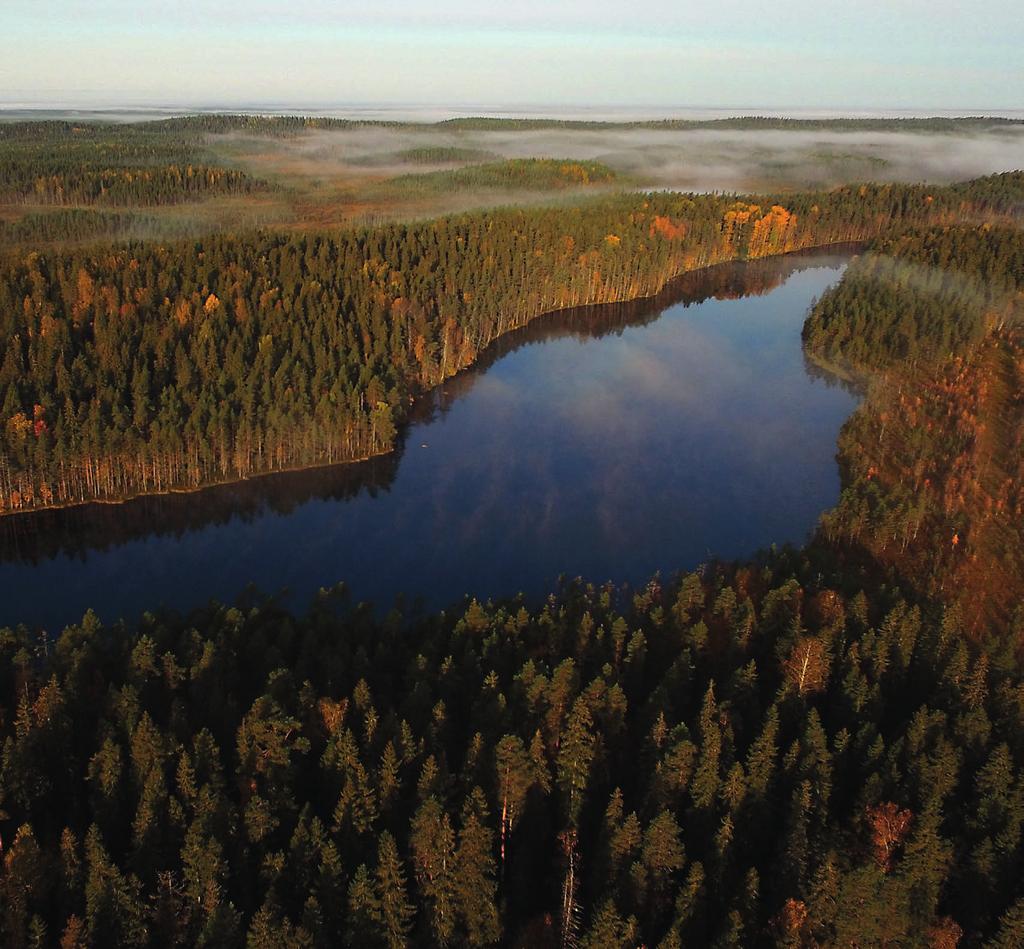 Etelä-Suomen