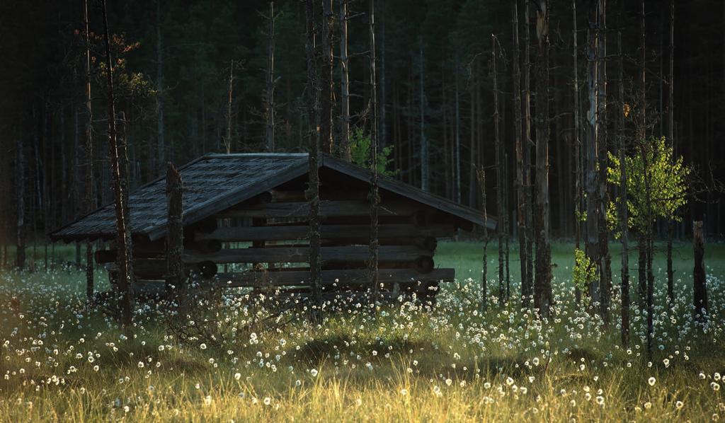 KARI LEO Valtion mailla olevien kulttuuriperintökohteiden kartoitus valmistui 2015. Kulttuuriperinnön vaaliminen on osa Metsähallituksen toimintaa.