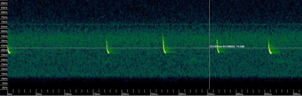 Kuva 6-2. Pikkulepakon pulsseja. Voimakkain taajuus on hieman alle 40kHz. Kuva 6-3. Vaivaislepakon äänitallenne.
