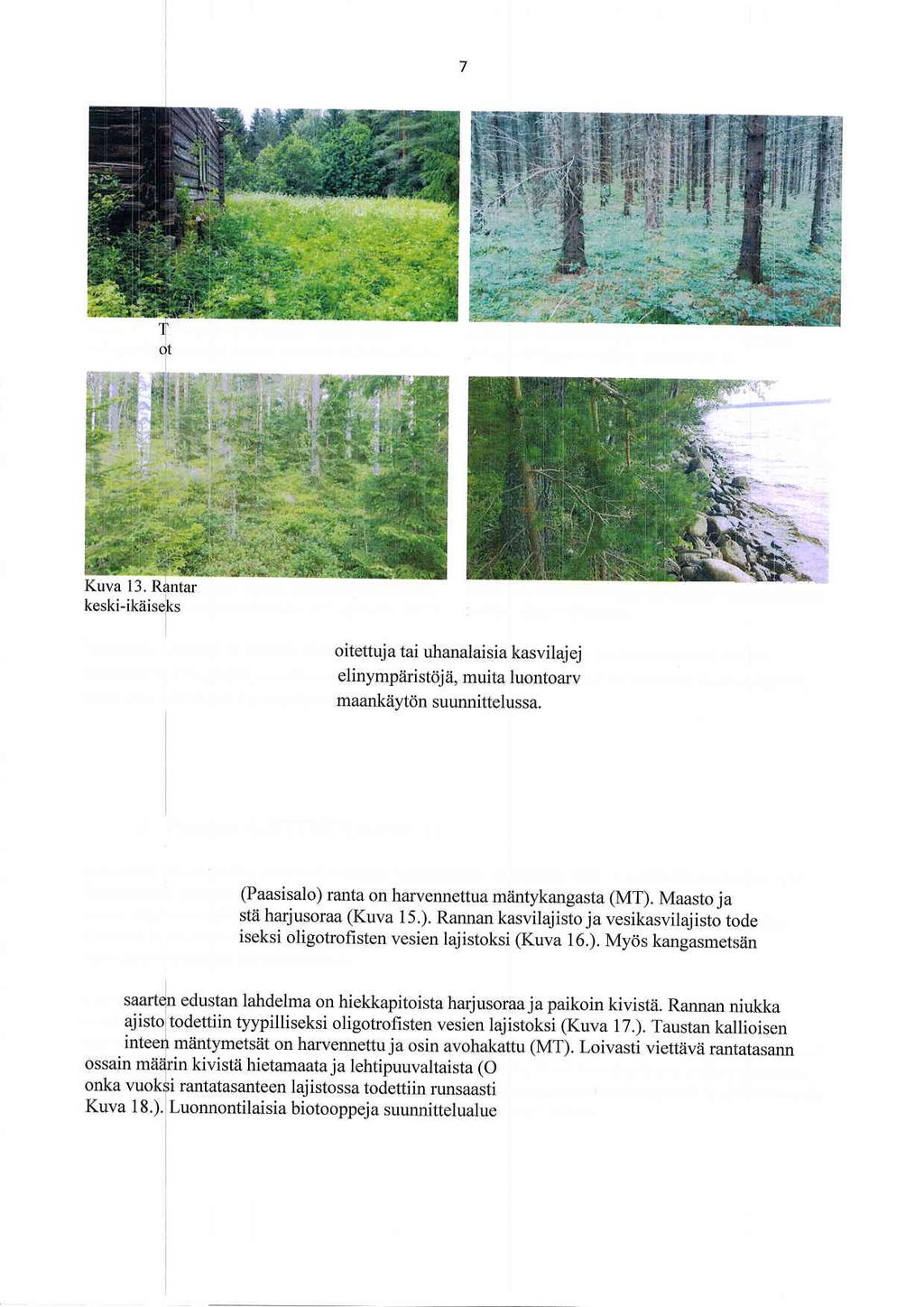 Kuva 11. kulttuuribi ilan piiiirakennuksen ympliriston ooppien lajisto todettiin monipuoliseksi. Kuva 12. Suunnittelualueen pellot on metsitetty.