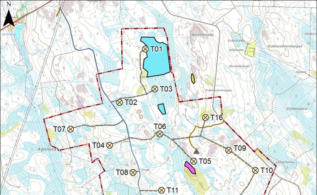 Kuva 2-17. Hankealueen luontokohteiden sijainnit sekä uhanalaiset/ huomioitavat lajiesiintymät.