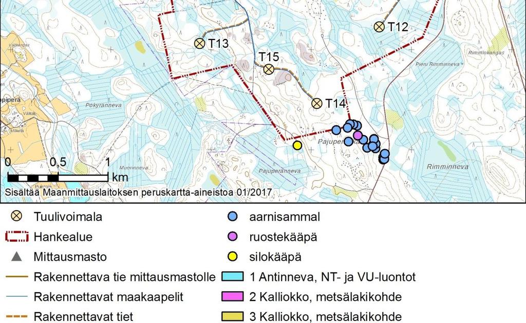 Suo on ojittamattomalta osaltaan luonnontilaisen kaltaista mätäs- ja välipintaista tupasvilla- ja sararämettä, ojituksen vaikutukset