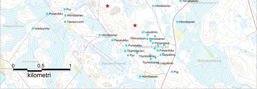 Hankealueella on runsaasti hömötiaista ja punatulkkua suosivaa havumetsää ja sekametsää.