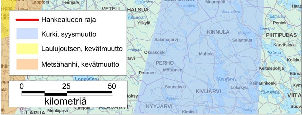 ja 13.9., oli havainnointia Kalajanjärven pelloilla sekä hankealueen viereisellä Antinkallioiden louhoksella. Näiden kahden päämuuttopäivän aikana havaittiin kaikkiaan 11 245 (5.9. 3092 yks. ja 13.9. 8153 yks.
