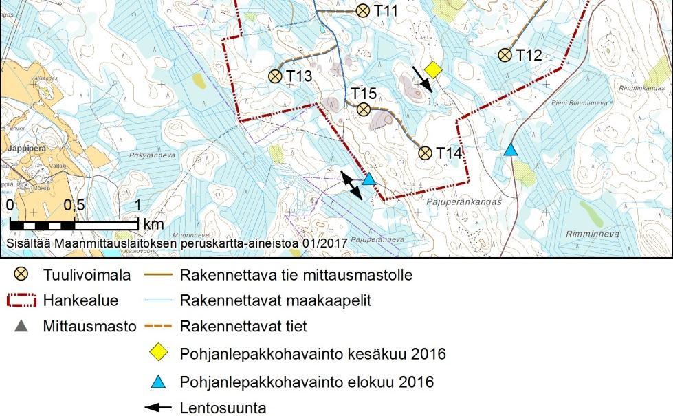 kartoituskäynti keltainen vinoneliö, toinen kartoituskäynti sininen