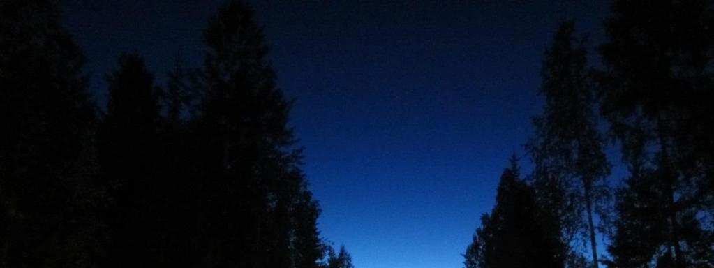 Kuva 4-2. Pohjanlepakon elokuinen ohilentopaikka tien yllä suunniteltujen voimaloiden 9 ja 10 välissä. 4.1.2.4 Lepakoille tärkeät alueet Alueiden arvo lepakoille luokitellaan Suomen lepakkotieteellisen yhdistyksen (2012) antaman ohjeistuksen mukaan.