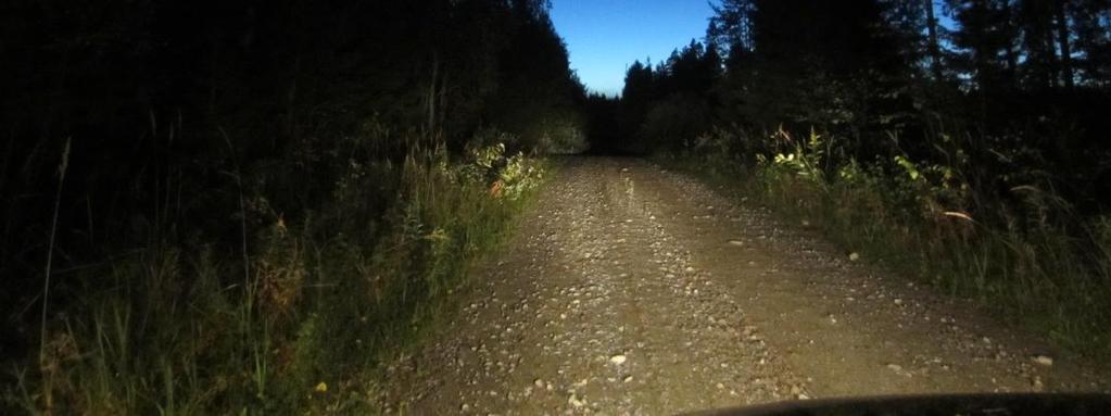 Alueen arvo lepakoille huomioitava maankäytössä (EUROBATS sopimus) Luokka III: Muu lepakoiden käyttämä alue. Maankäytössä mahdollisuuksien mukaan huomioitava arvo lepakoille.