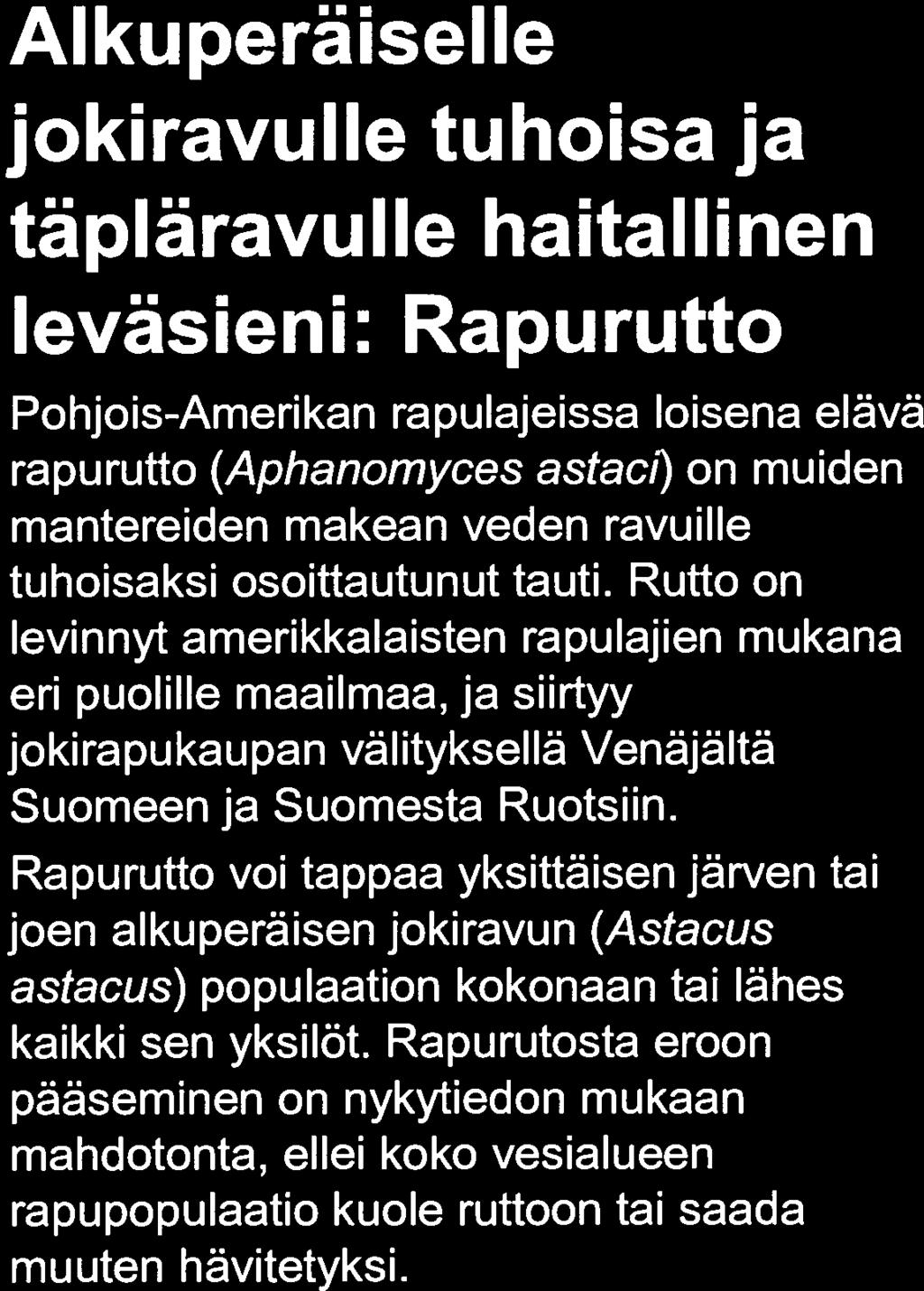 jv; Kuvaaja: Jorma Kirjavainen Alkuperaiselle.
