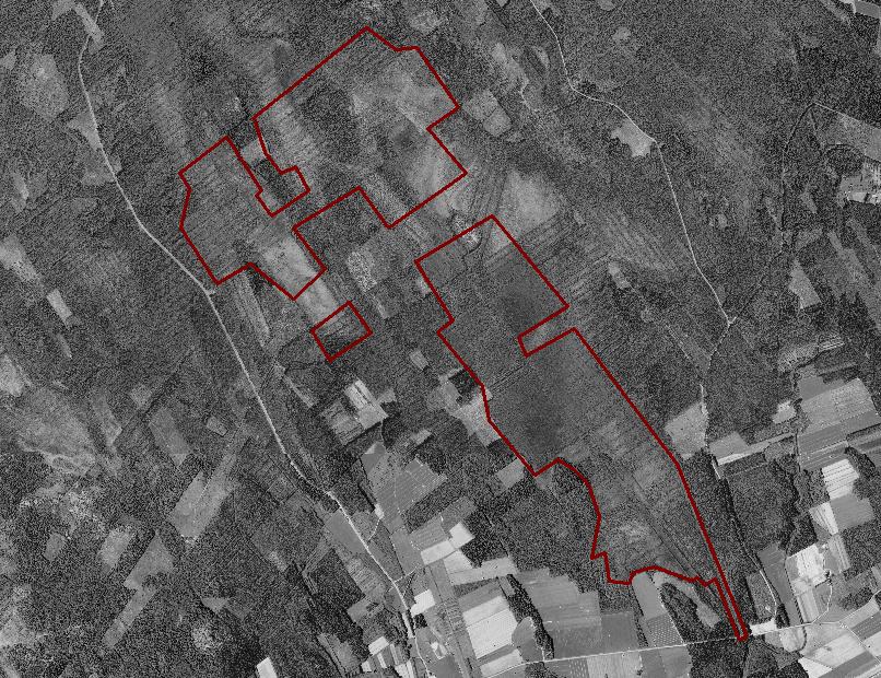 Kuva 5. Iso-Saapasneva ja hankelaue. 5.1 KAAVOITUS- JA MAANKÄYTTÖ Ympäristöministeriö on vahvistanut Etelä-Pohjanmaan maakuntakaavan 23.5.2005. Kuvassa 6. on esitetty ote maakuntakaavasta.