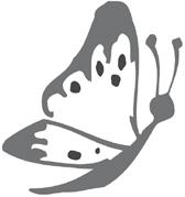 Kesäleirit Kainuun Opistolla 4. 5.6. 10 13-vuotiaille 18. 19.6. 7 9-vuotiaille Leirin hinta 10 euroa. Ilmoittautumiset Marjalle 24.5. mennessä p.