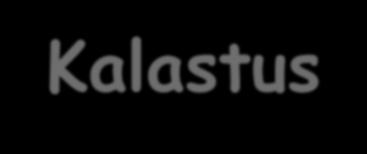 Kalastus- ja vesiviljelytuotteita koskevat erityismerkinnät (pakatut ja pakkaamattomat) (EPNAs (EU) N:o 1379/2013, art.