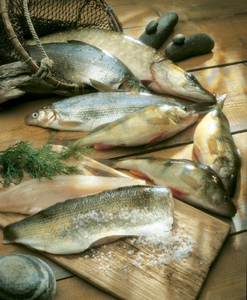 ), äyriäiset ja nilviäiset Kuivatut, suolatut, savustetut ja hiillostetut kalat, kalafileet yms., äyriäiset ja nilviäiset. Merkintävelvoite koskee vastaavasti myös muita meressä eläviä selkärangattomia kuin äyriäisiä ja nilviäisiä, esim.
