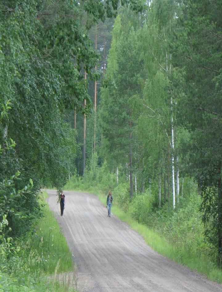 Paahdelajien tienvierikartoitus Kohdelajit: Mm.