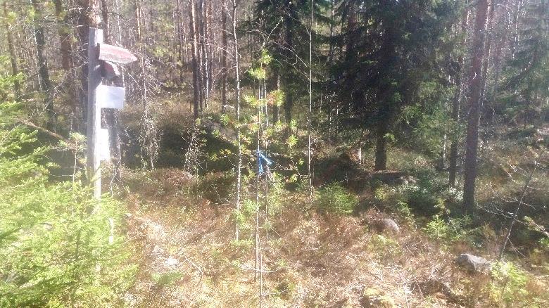 Paikalla on Karjalan kierroksen ja polkujuoksun viitat. Muutaman kymmenen metrin jälkeen polku ylittää metsäautotien suoraviivaisesti, jatkuu toisella puolen metsäkoneurana.
