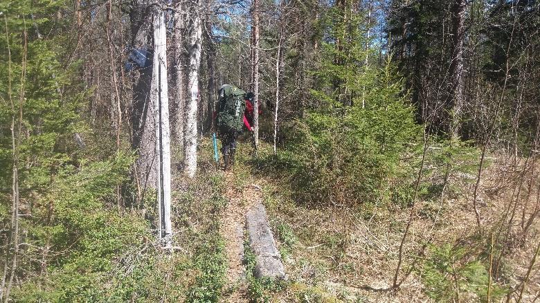 400m päässä ennen jyrkkää ylämäkeä ja tien levikettä reitti kääntyy pitkospuille vasemmalle.