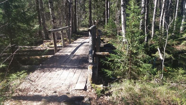 200m päässä alamäkeen vasemmalle on hyväkuntoinen, hyvin varustettu autiotupa Tammitupa