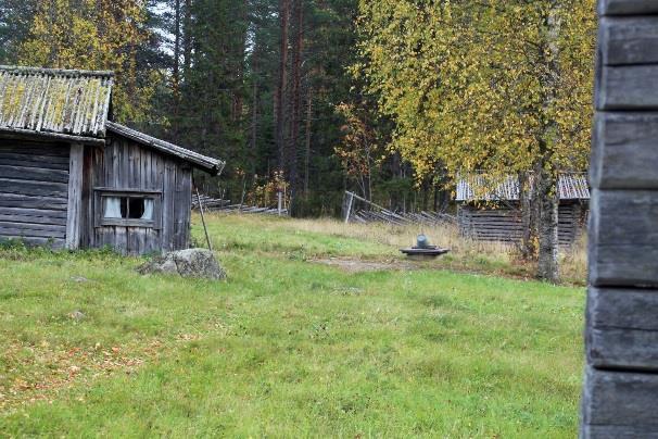 1,8km metsätaipaleen jälkeen polku laskeutuu metsäautotien päähän, hieman ennen