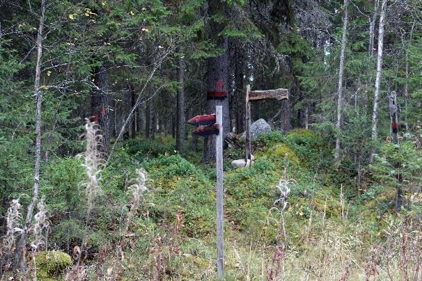 Sitten pitkä suo-osuus, jonka jälkeen