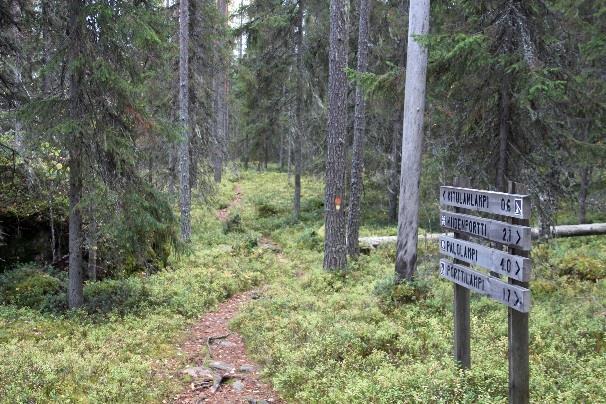 Laavulta alkaa Hiidenportin kansallispuisto, jossa seuraavalla Portinsalon pitkällä metsätaipaleella
