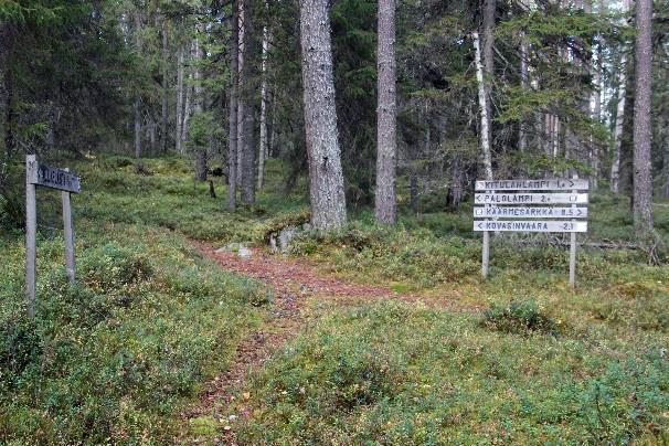 Sen jälkeen noustaan särkän laelle, risteyksessä Palolammen polku jatkuu suoraan, viitan Kitulanlampi