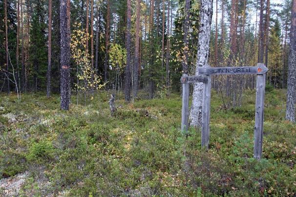 Mäntyjärven voi kiertää sekä pohjois- että eteläkautta, Y-risteyksessä on